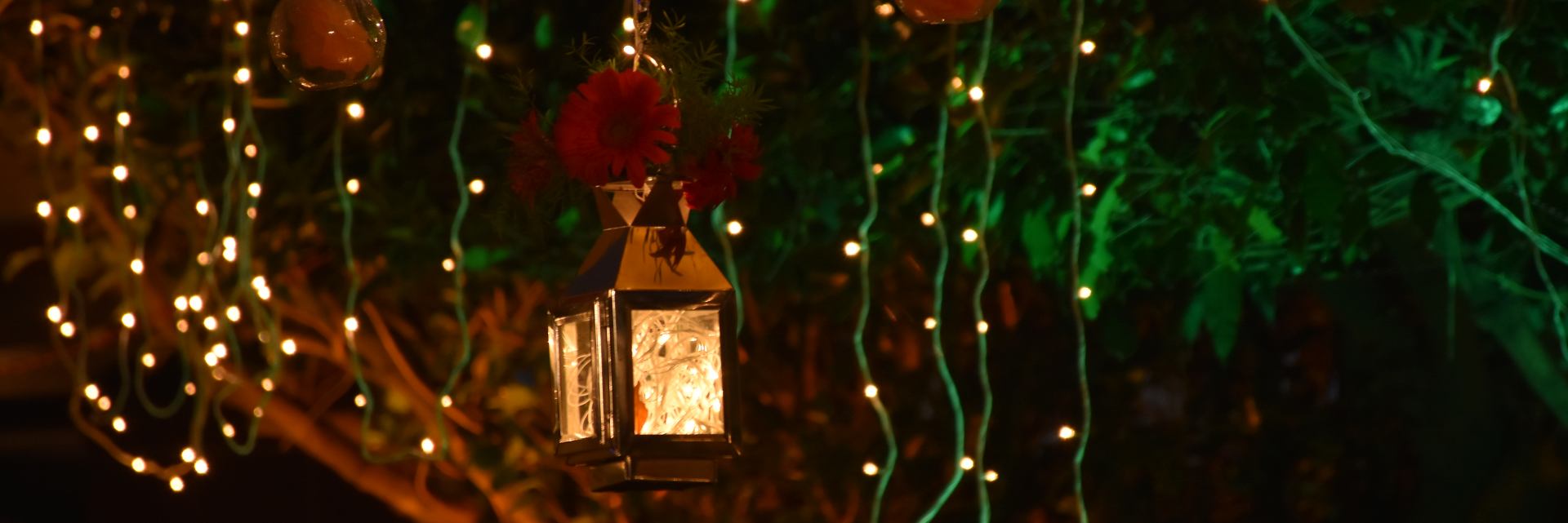 Your Dream Destination Wedding Awaits at Bella Vista Resort, Mahabaleshwar